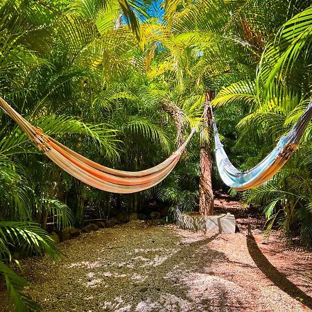 Glamping Hotel Flor y Bambu Playa Grande Exterior foto