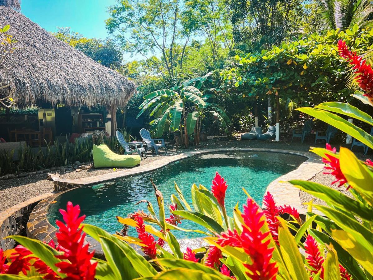 Glamping Hotel Flor y Bambu Playa Grande Exterior foto
