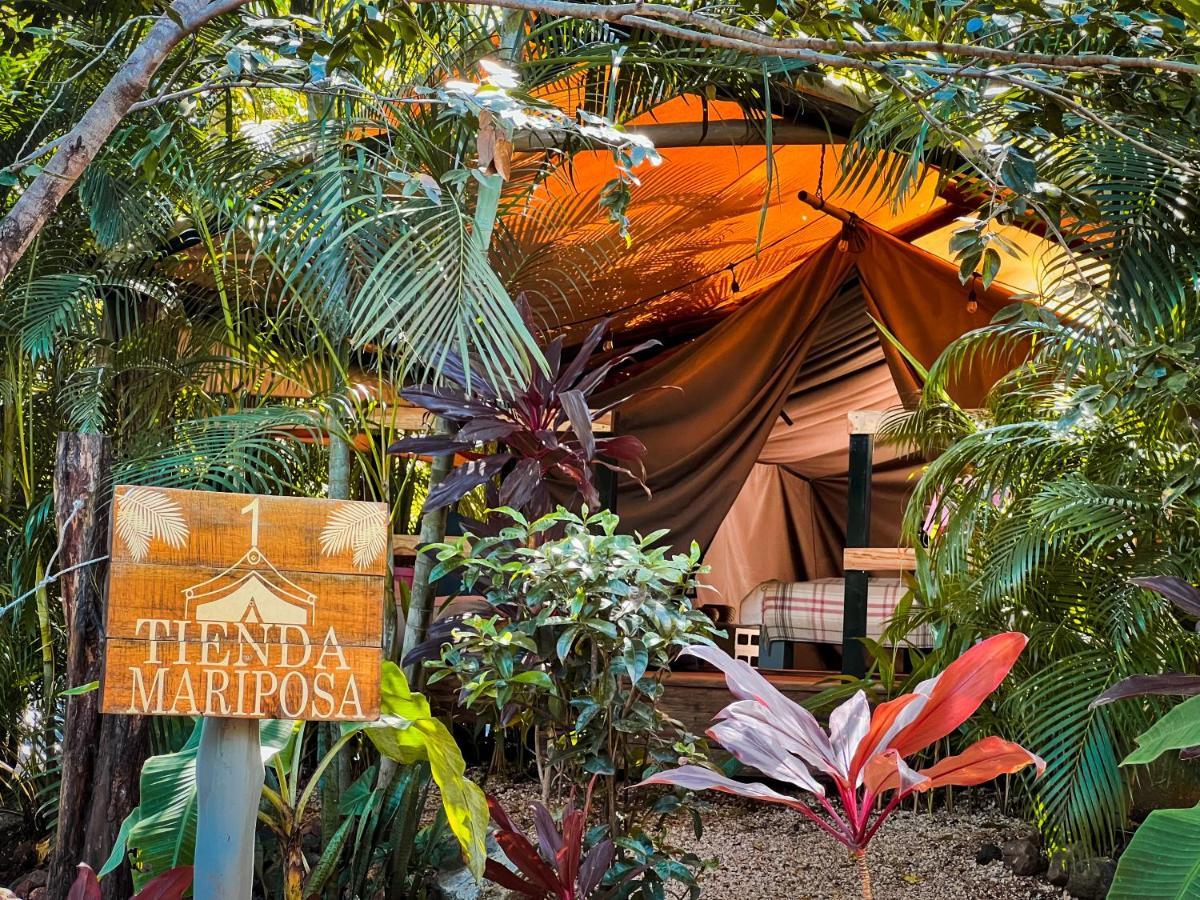 Glamping Hotel Flor y Bambu Playa Grande Exterior foto