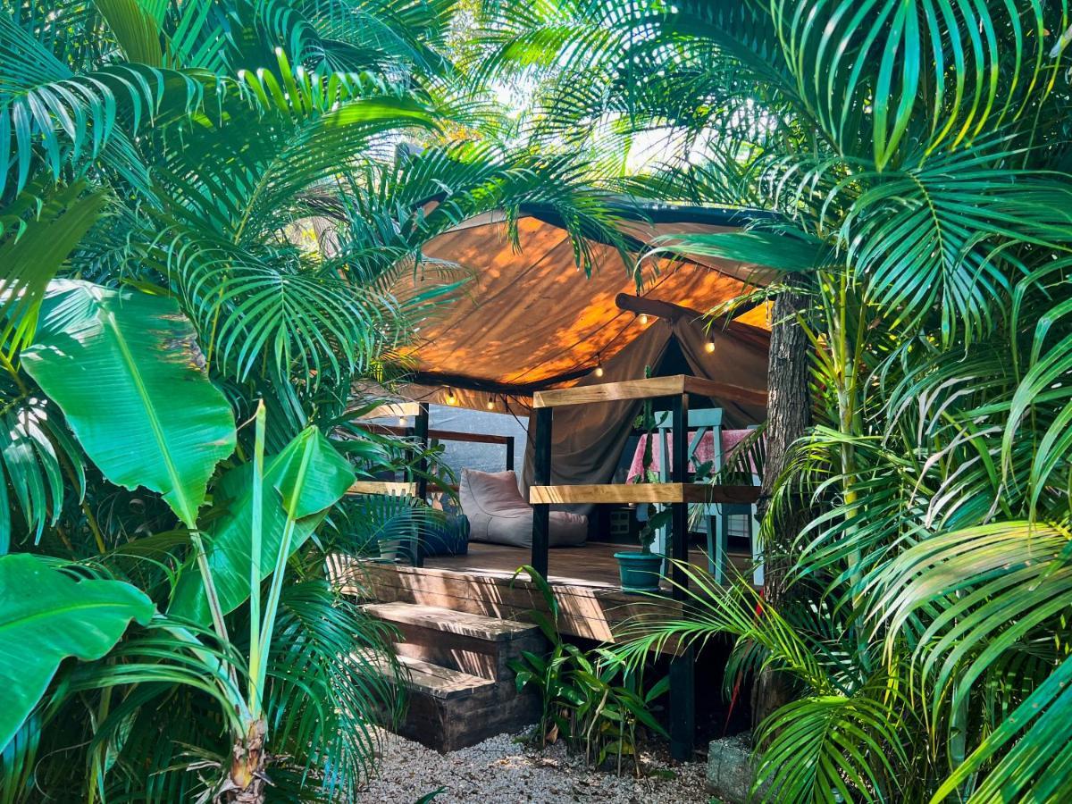 Glamping Hotel Flor y Bambu Playa Grande Exterior foto