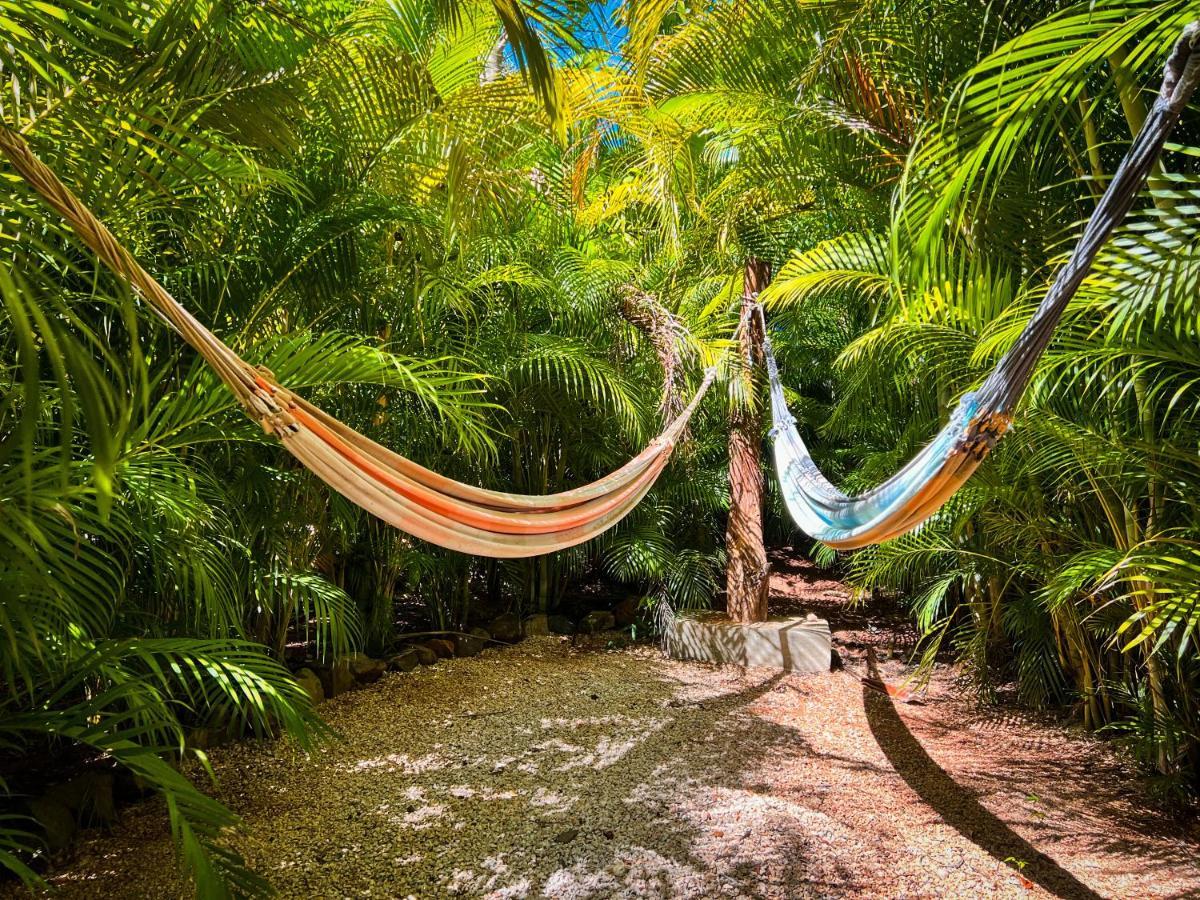 Glamping Hotel Flor y Bambu Playa Grande Exterior foto