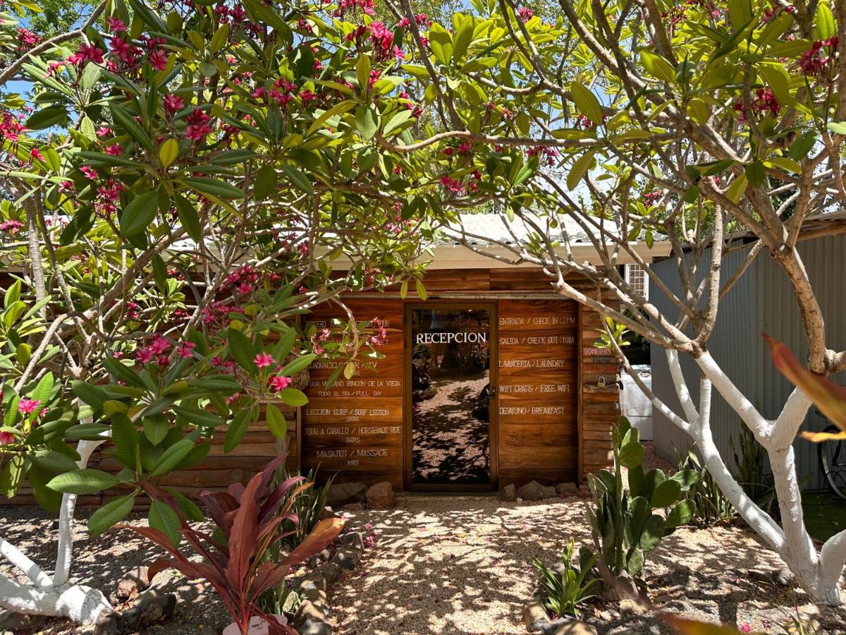 Glamping Hotel Flor y Bambu Playa Grande Exterior foto