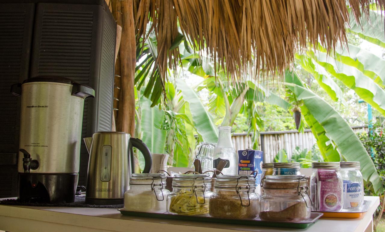 Glamping Hotel Flor y Bambu Playa Grande Exterior foto