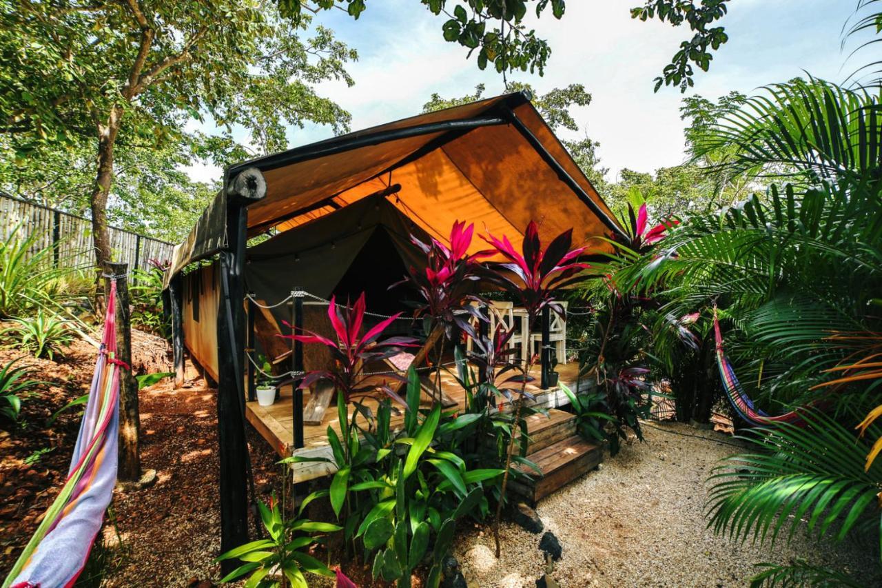 Glamping Hotel Flor y Bambu Playa Grande Exterior foto