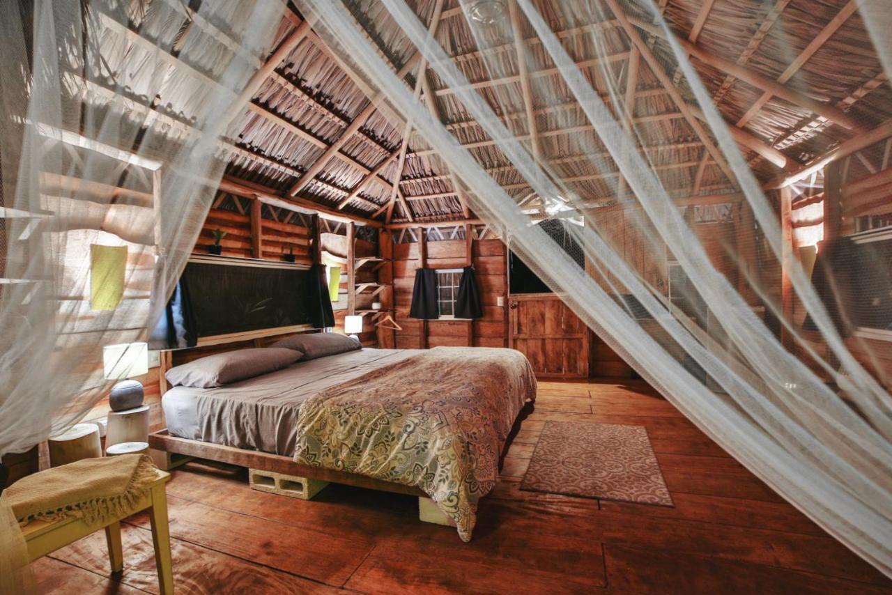 Glamping Hotel Flor y Bambu Playa Grande Exterior foto